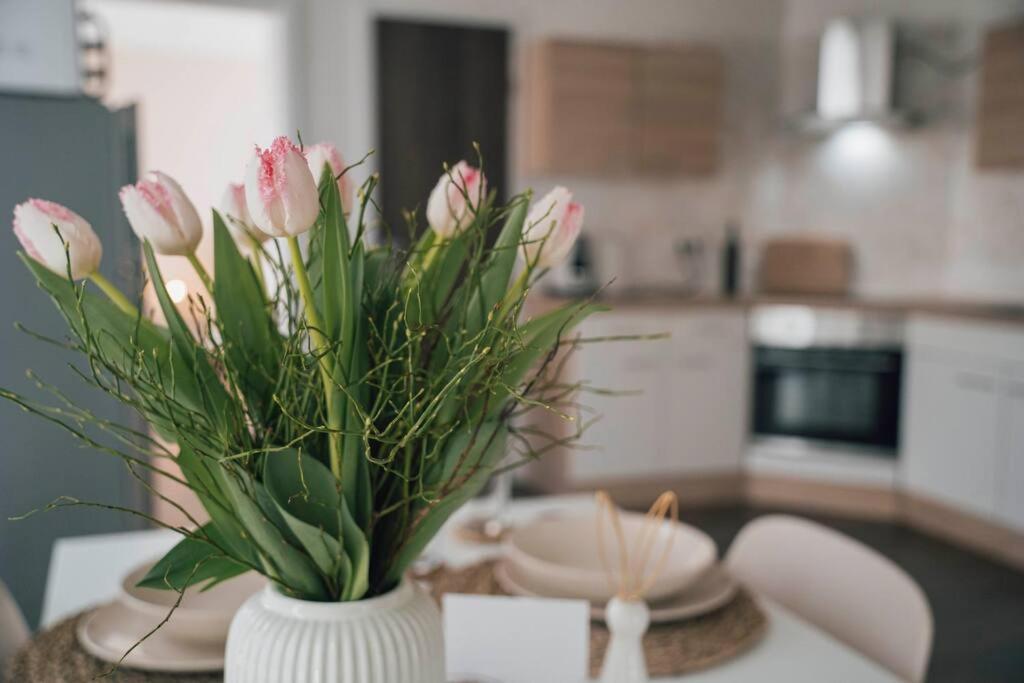 Gemuetliche Wohnung Nahe Kurpark Bad Lippspringe Ngoại thất bức ảnh